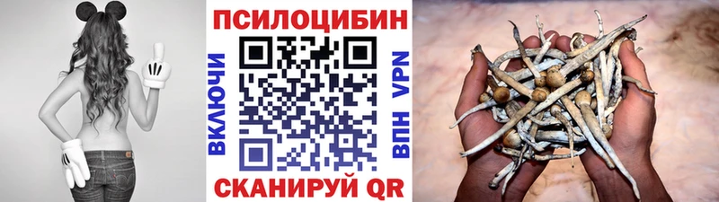 KRAKEN ссылки  Судогда  Галлюциногенные грибы Magic Shrooms 