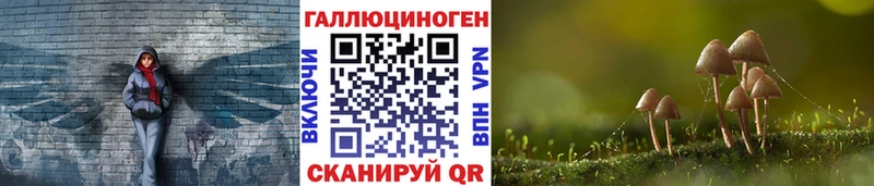 Псилоцибиновые грибы прущие грибы Судогда