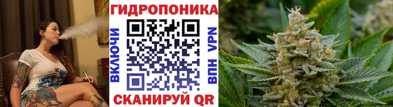 Конопля сатива  OMG онион  Судогда 
